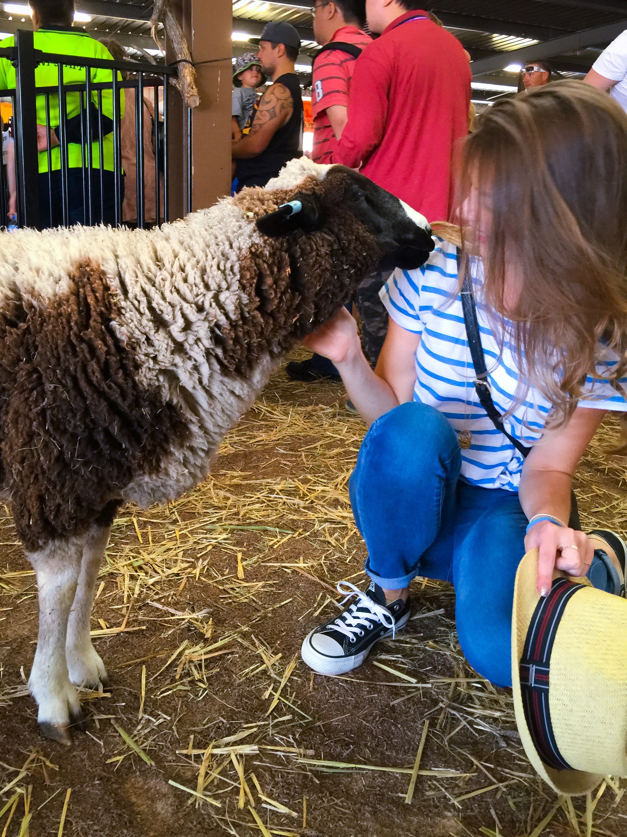 The IGA Perth Royal Show - Katierebekah