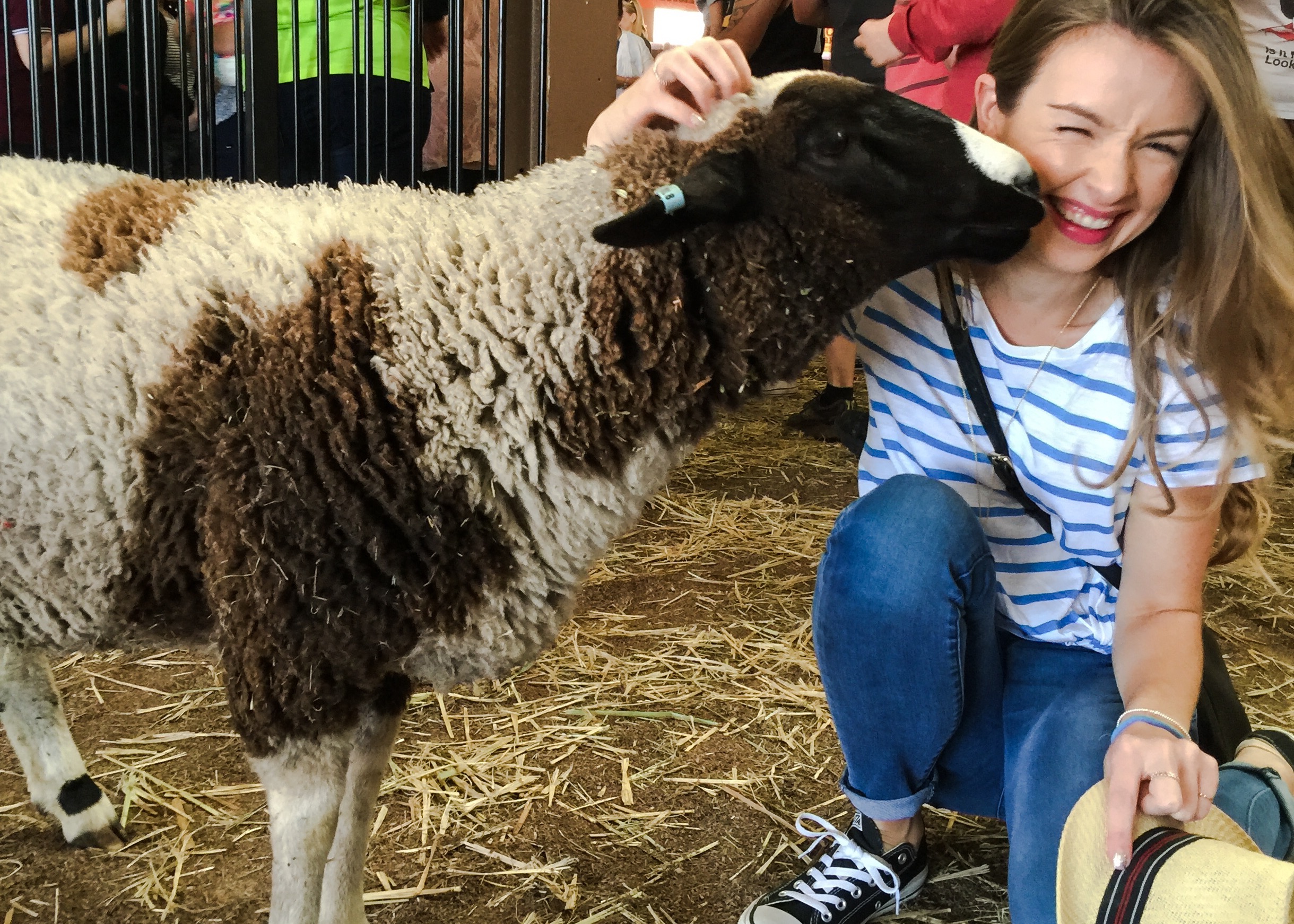 The IGA Perth Royal Show - Katierebekah