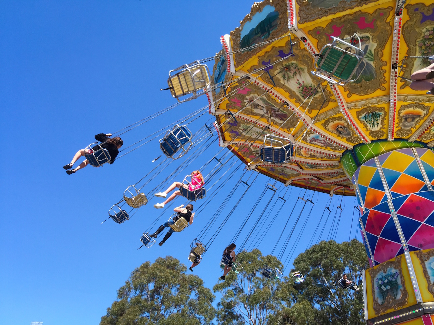 The IGA Perth Royal Show - Katierebekah