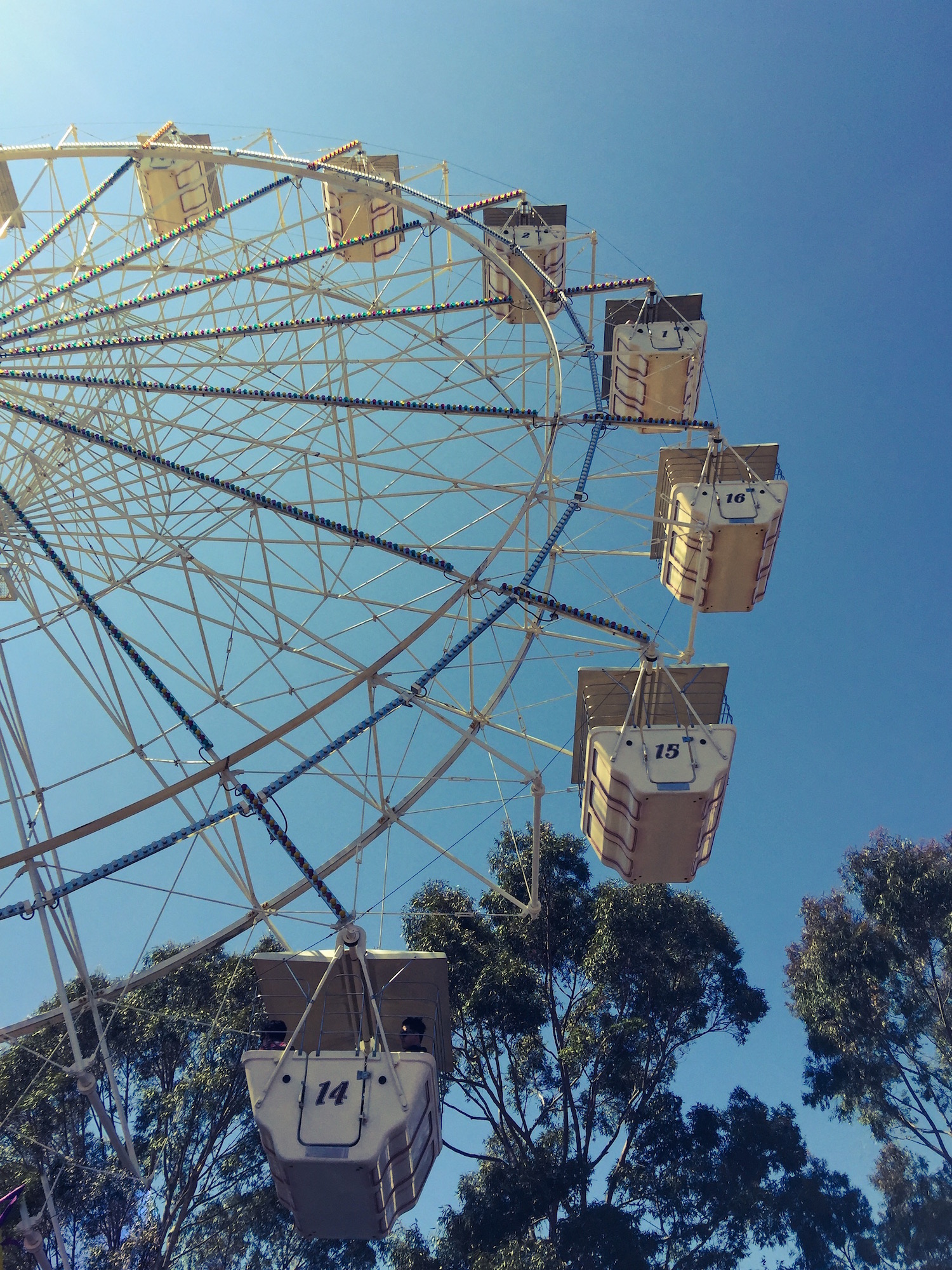 The IGA Perth Royal Show - Katierebekah