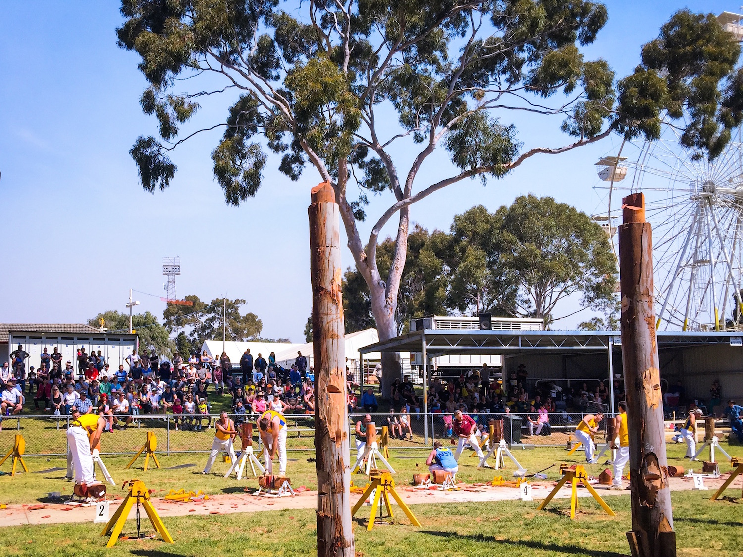 The IGA Perth Royal Show - Katierebekah