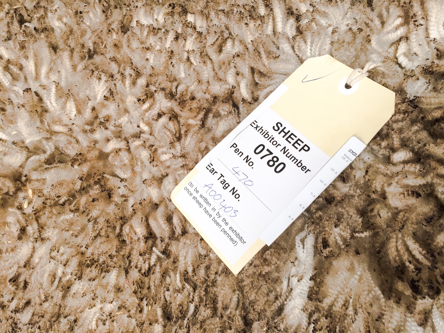 The IGA Perth Royal Show - Katierebekah