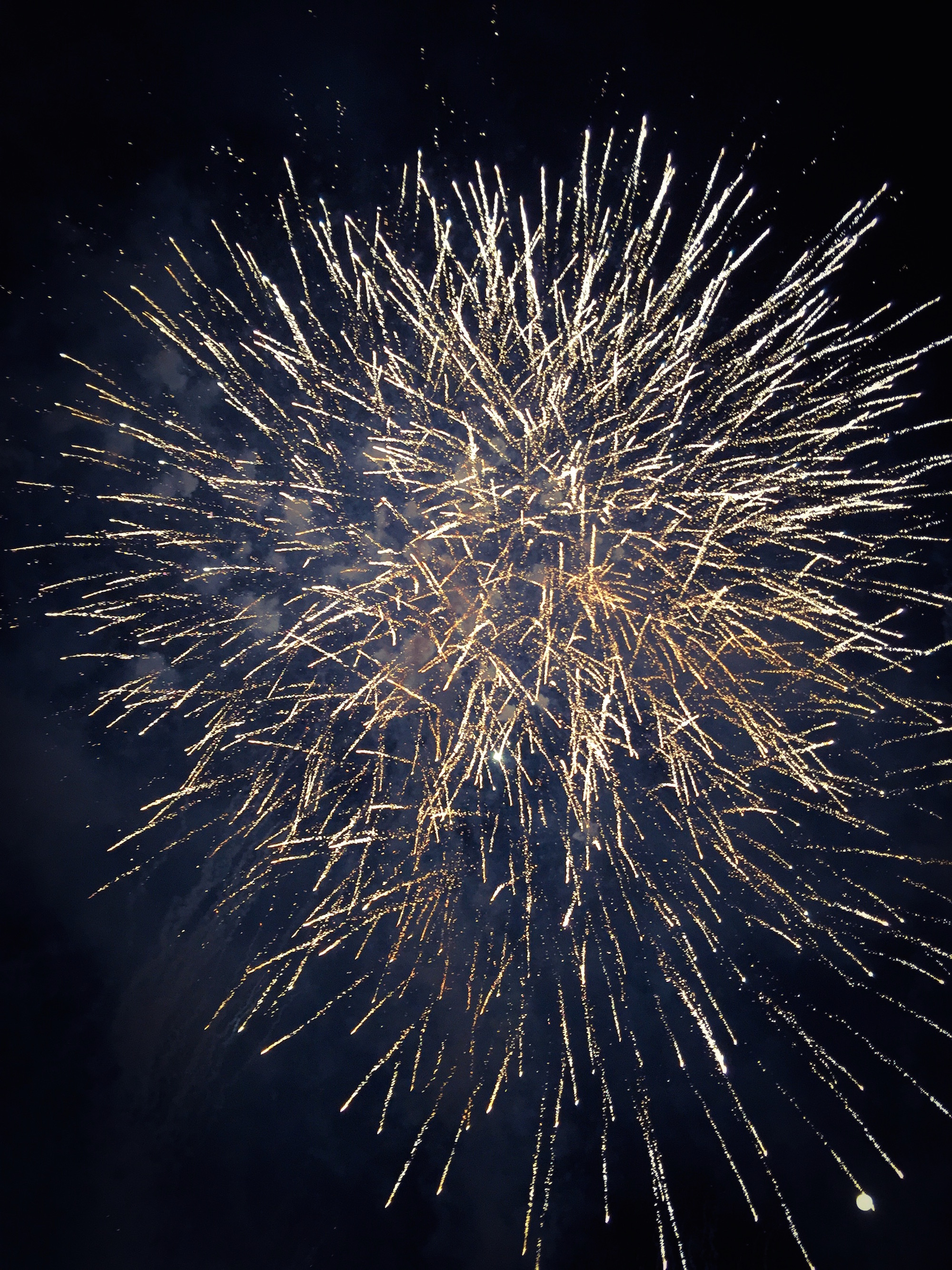 The IGA Perth Royal Show - Katierebekah