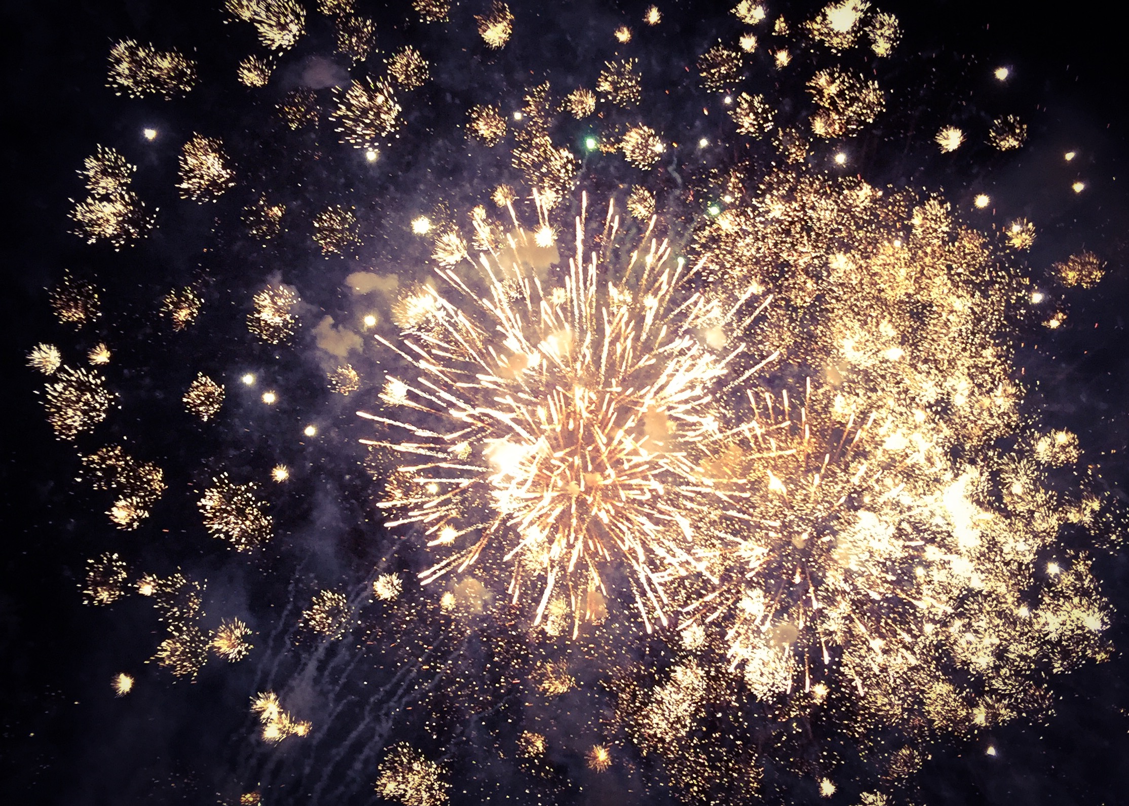 The IGA Perth Royal Show - Katierebekah