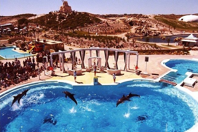 Atlantis Marine Park Perth - Katie Rebekah