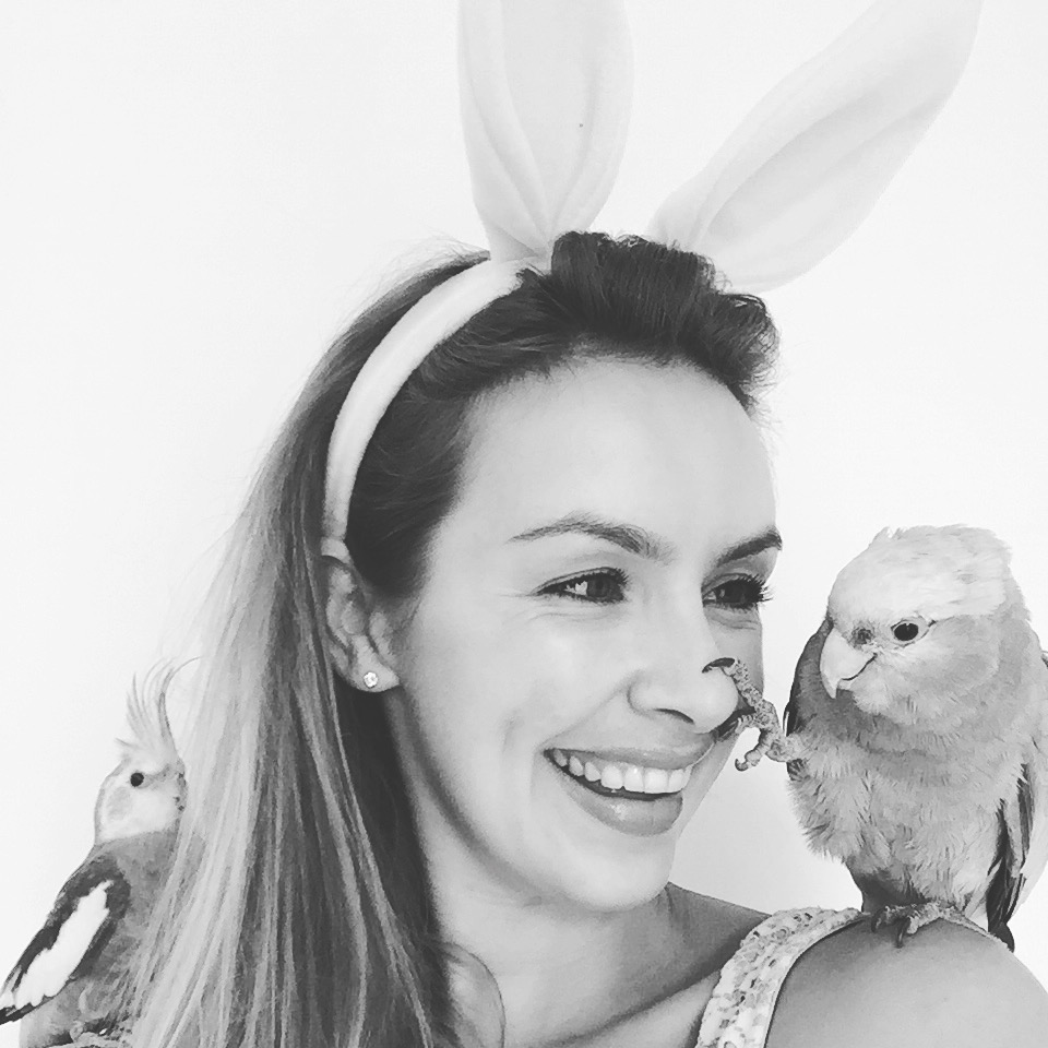 Easter birdies - Katie Rebekah