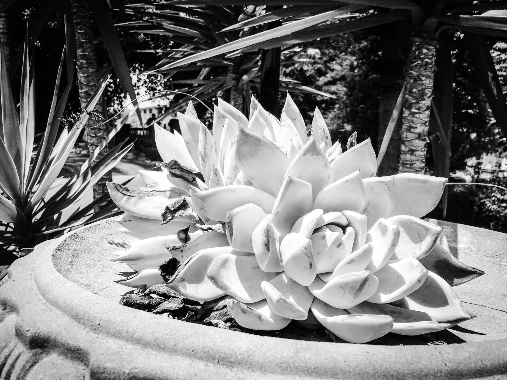 Yoga Retreat, Cottesloe Perth - Katie Rebekah