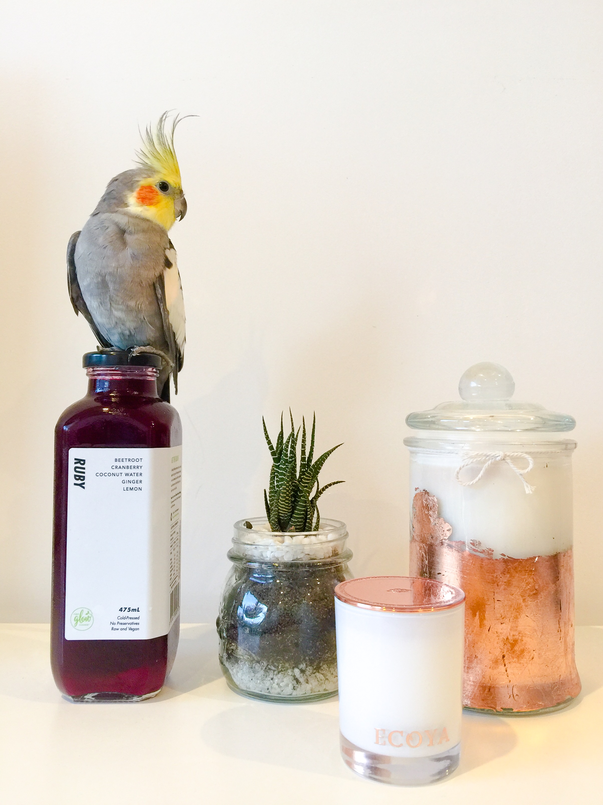 Glow with the Flow! Cleansing with Pure Glow Juices Perth - Katie Rebekah