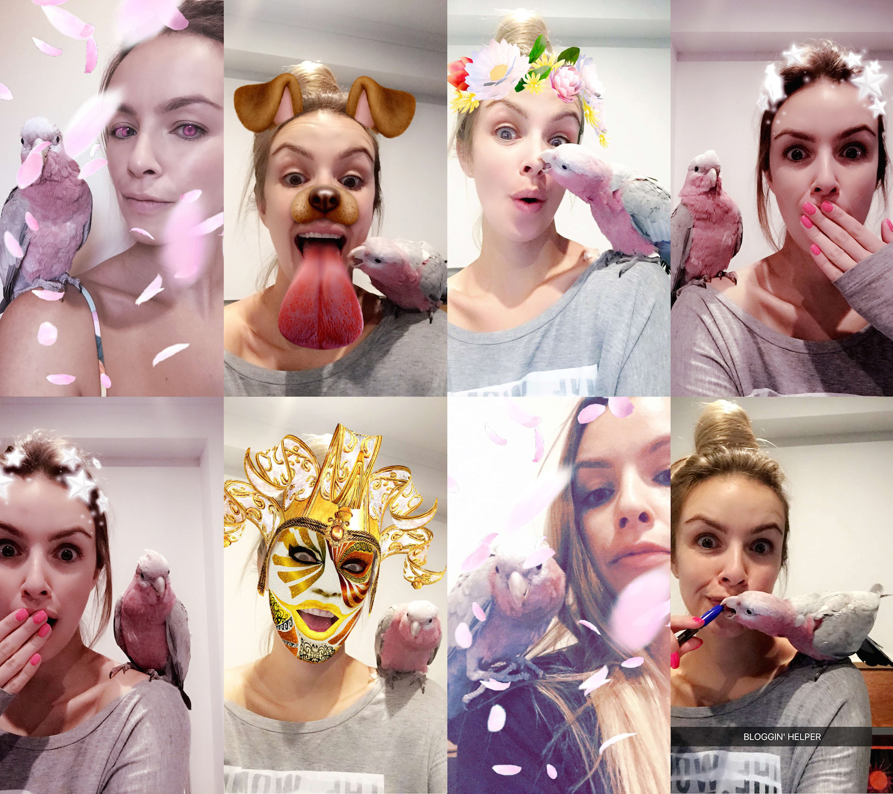 Thor the Galah - Perth Blogger - Katie Rebekah