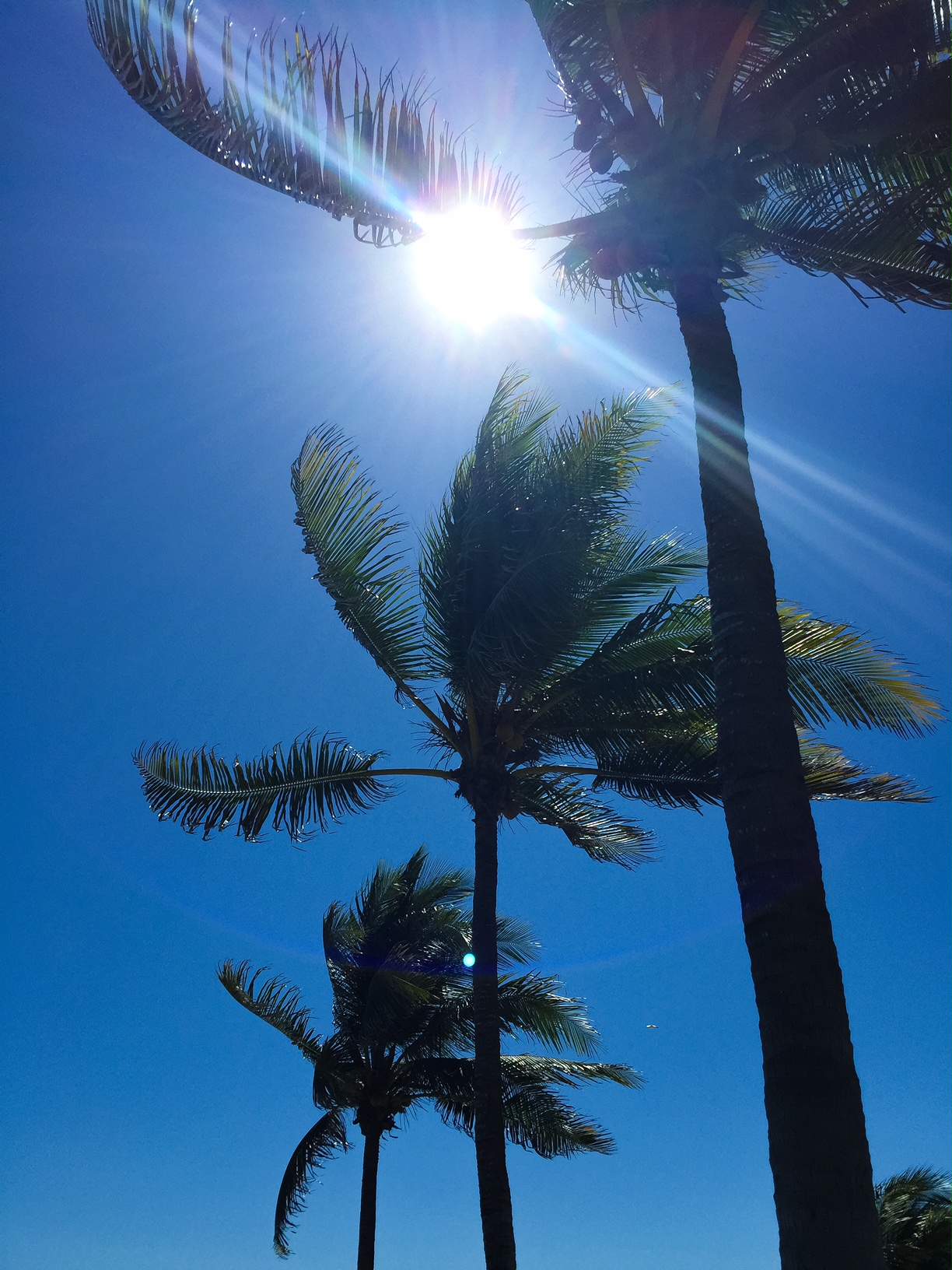 Swept Away in Broome, Western Australia - Perth Travel Blogger Katie Rebekah