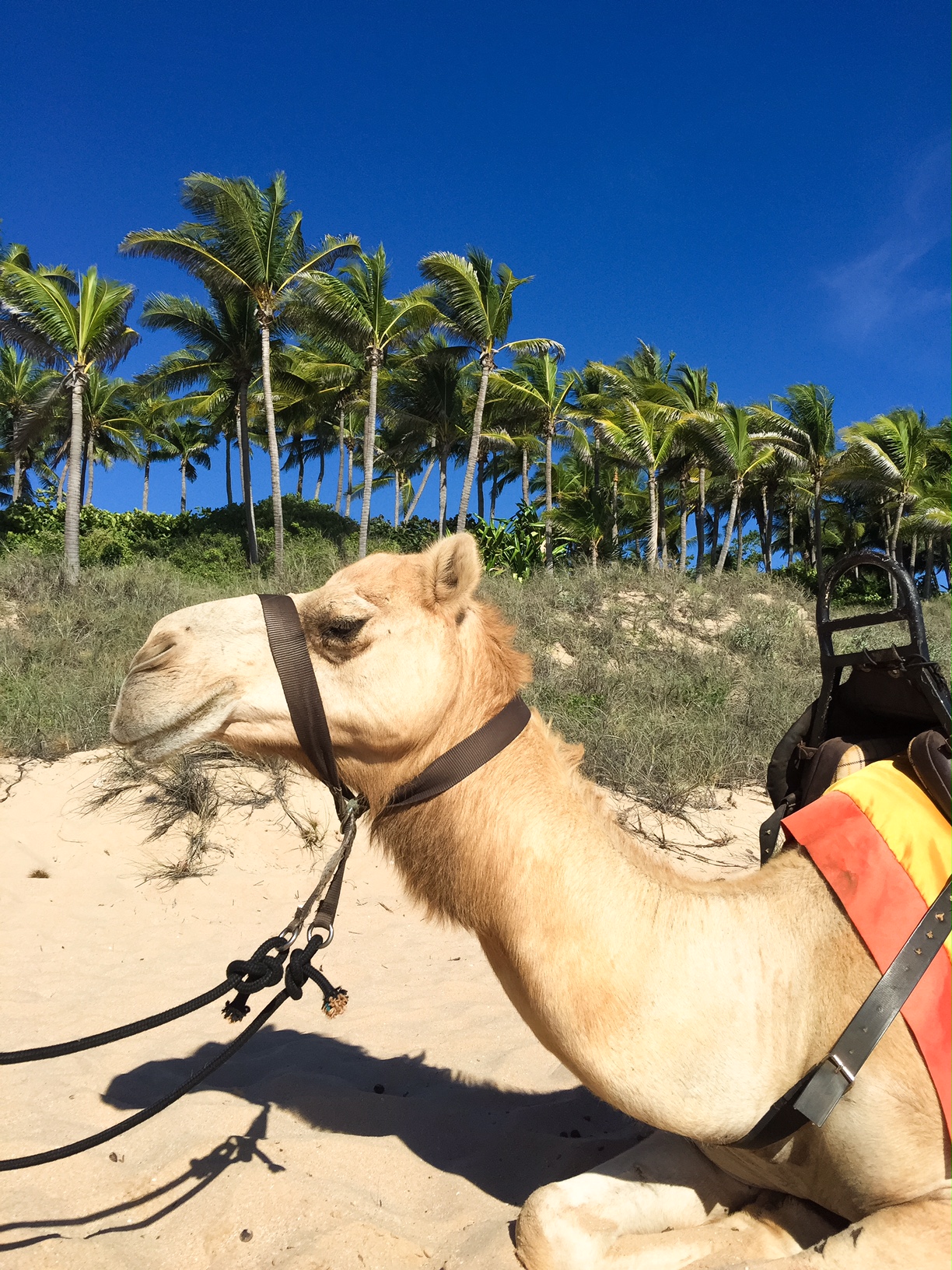 Swept Away in Broome, Western Australia - Perth Travel Blogger Katie Rebekah