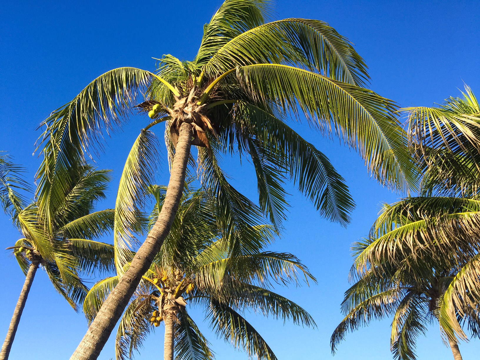 Swept Away in Broome, Western Australia - Perth Travel Blogger Katie Rebekah