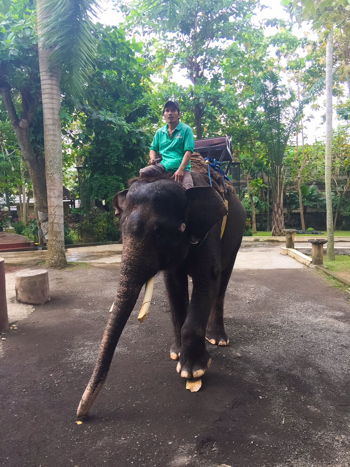 The Bali Edit - Perth Travel Blogger Katie Rebekah