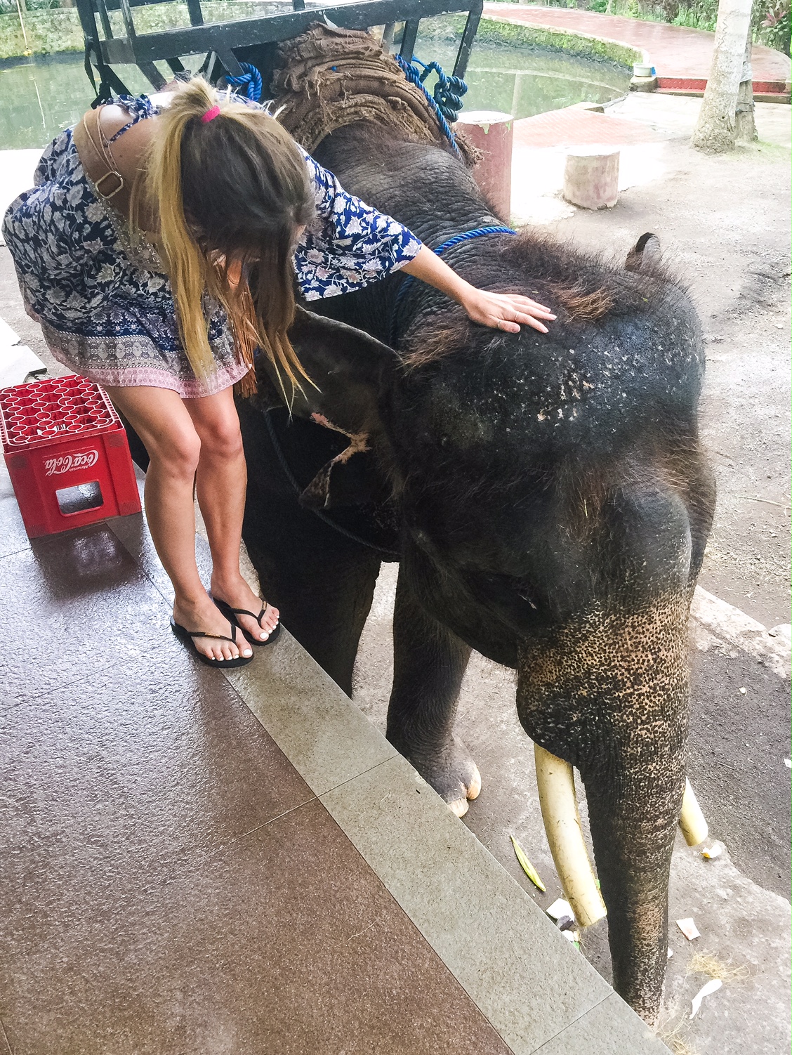 The Bali Edit - Perth Travel Blogger Katie Rebekah