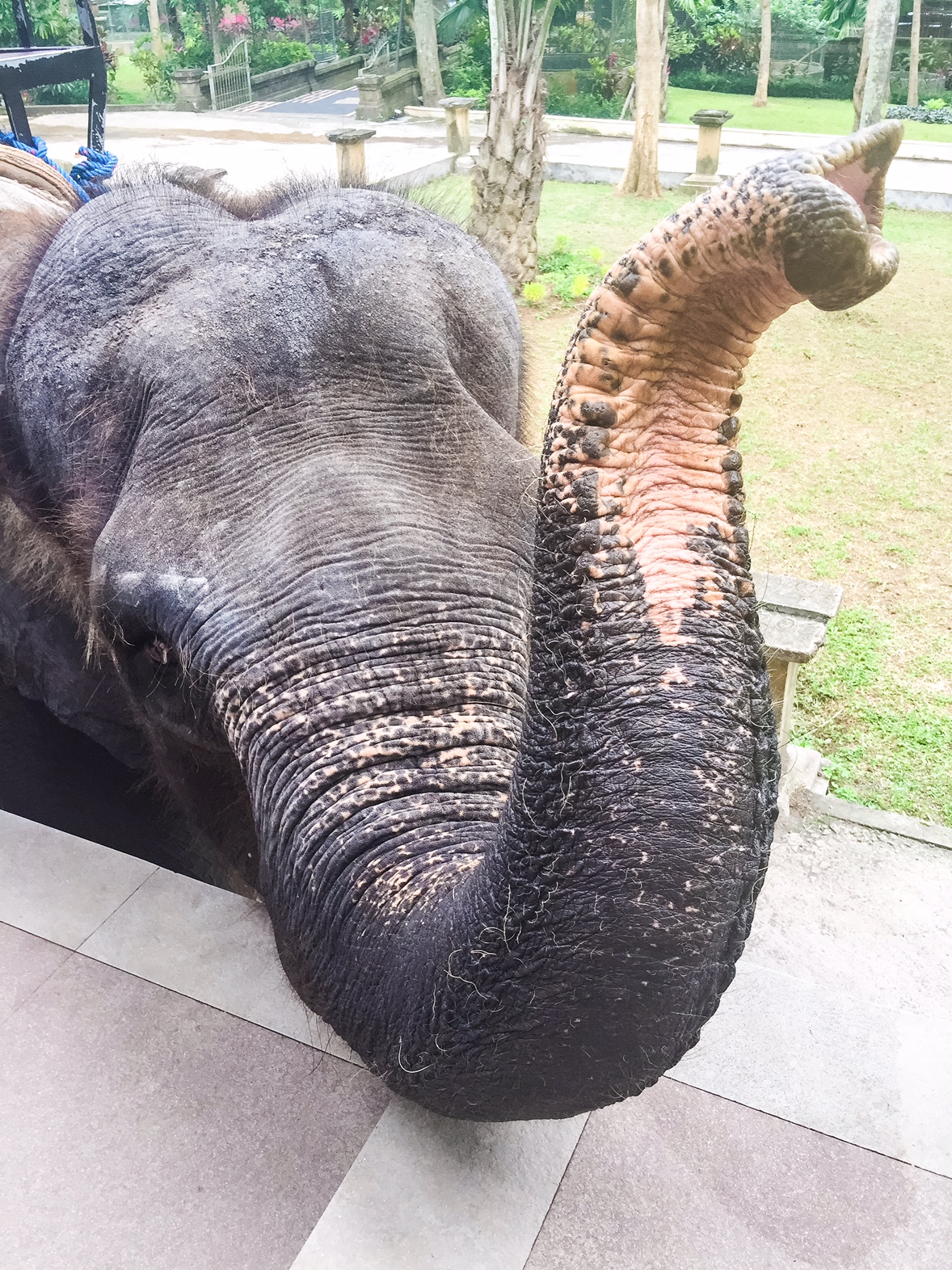 The Bali Edit - Perth Travel Blogger Katie Rebekah