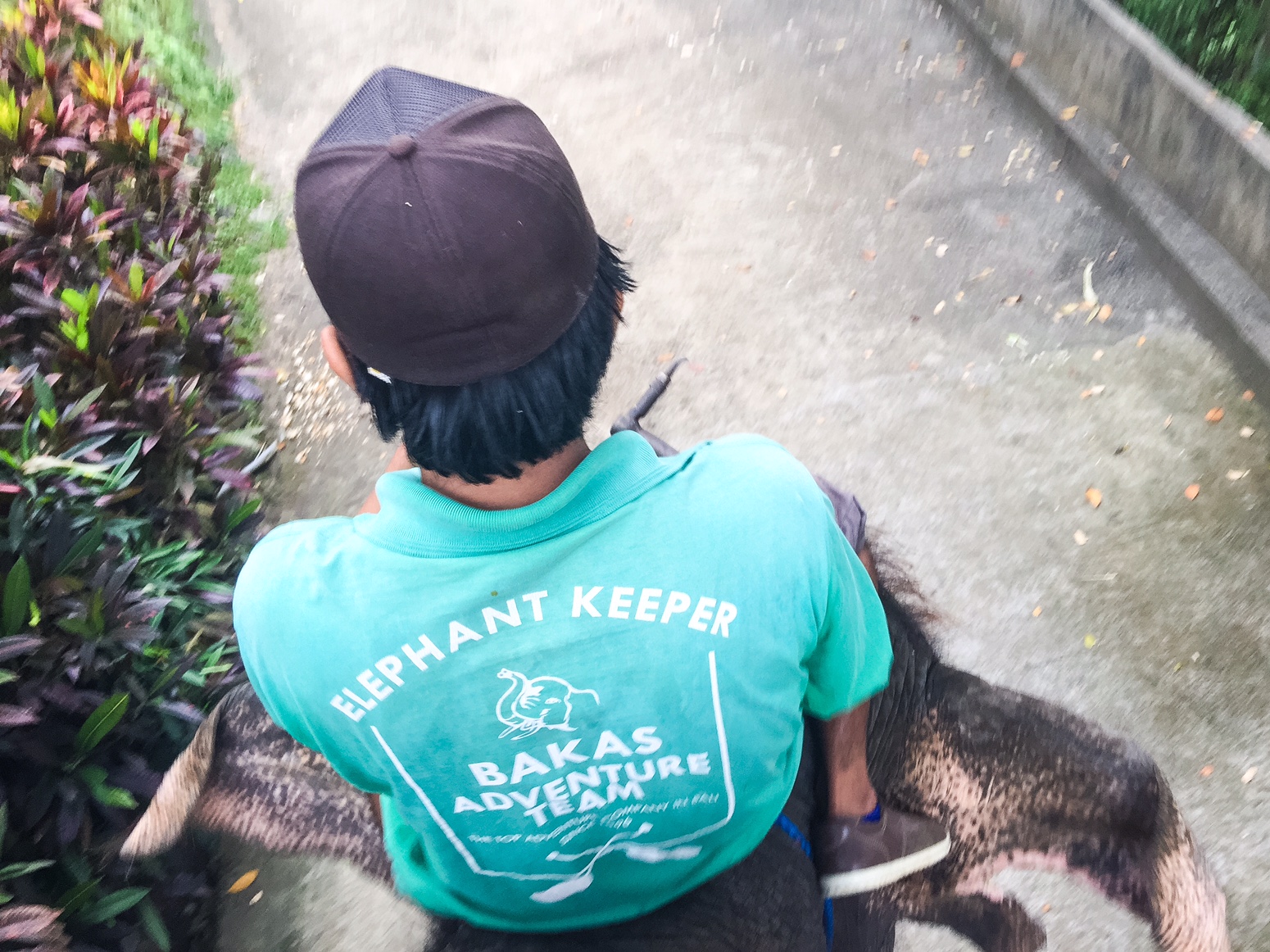 The Bali Edit - Perth Travel Blogger Katie Rebekah