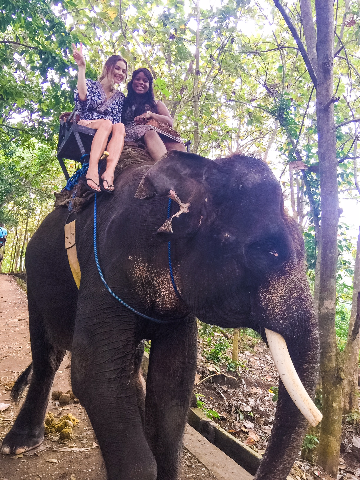 The Bali Edit - Perth Travel Blogger Katie Rebekah