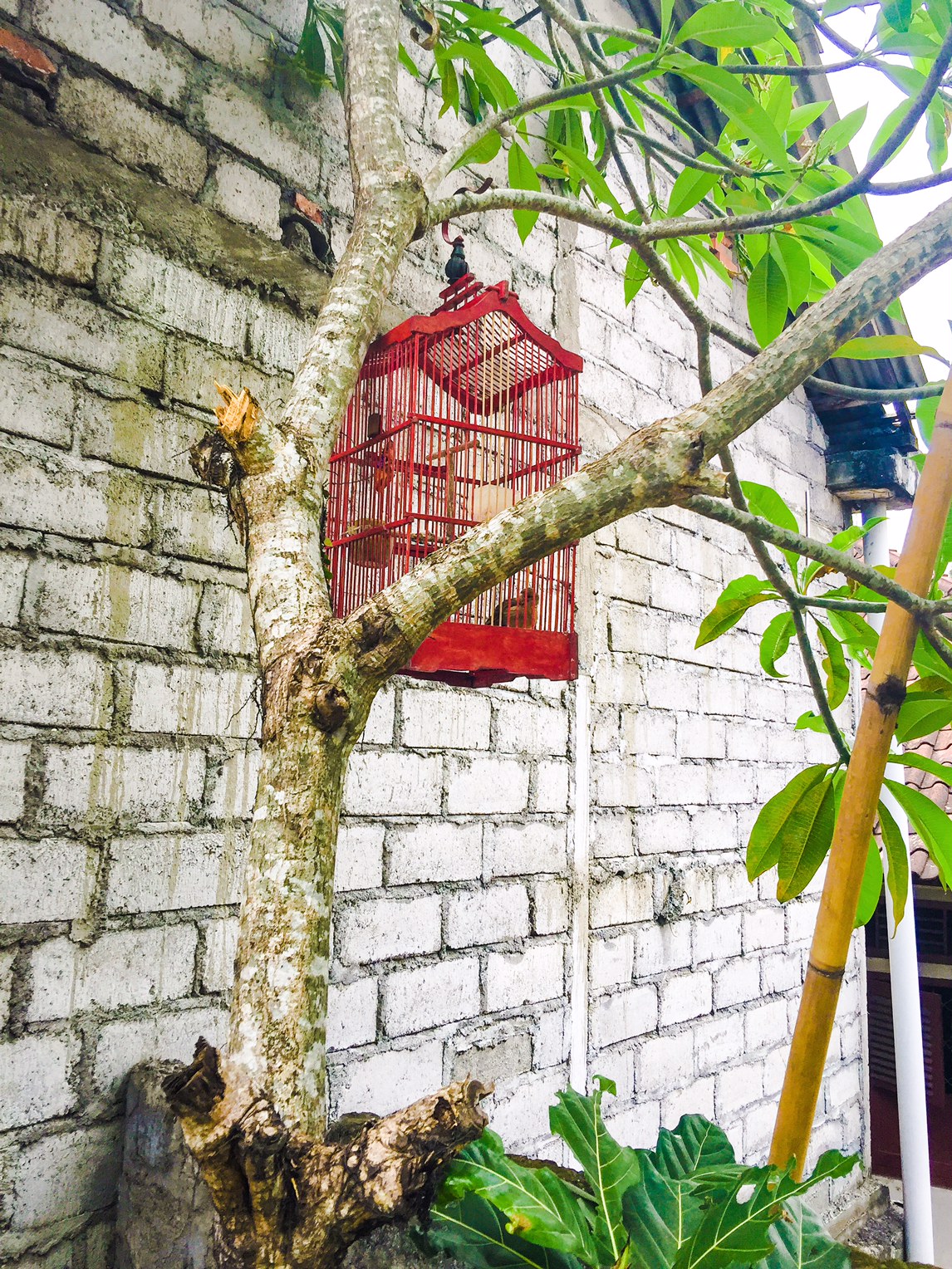 The Bali Edit - Perth Travel Blogger Katie Rebekah