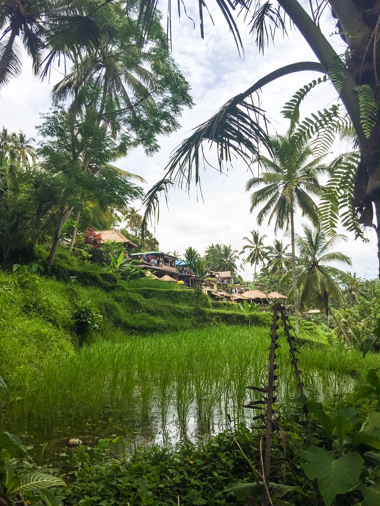 The Bali Edit - Perth Travel Blogger Katie Rebekah