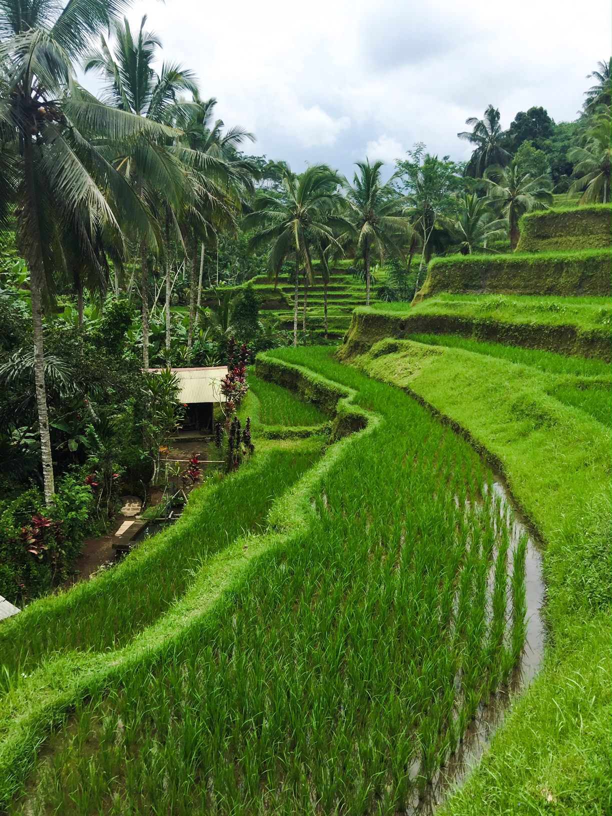 The Bali Edit - Perth Travel Blogger Katie Rebekah