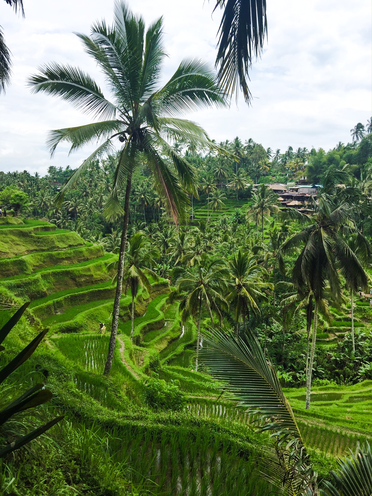 The Bali Edit - Perth Travel Blogger Katie Rebekah