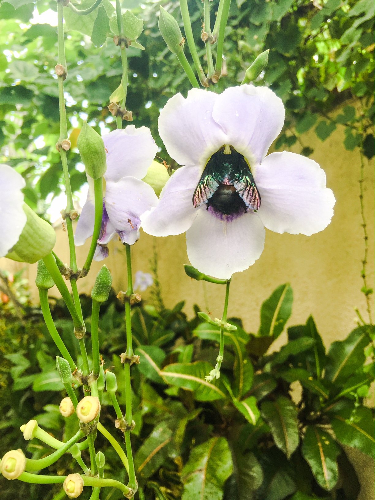 The Bali Edit - Perth Travel Blogger Katie Rebekah