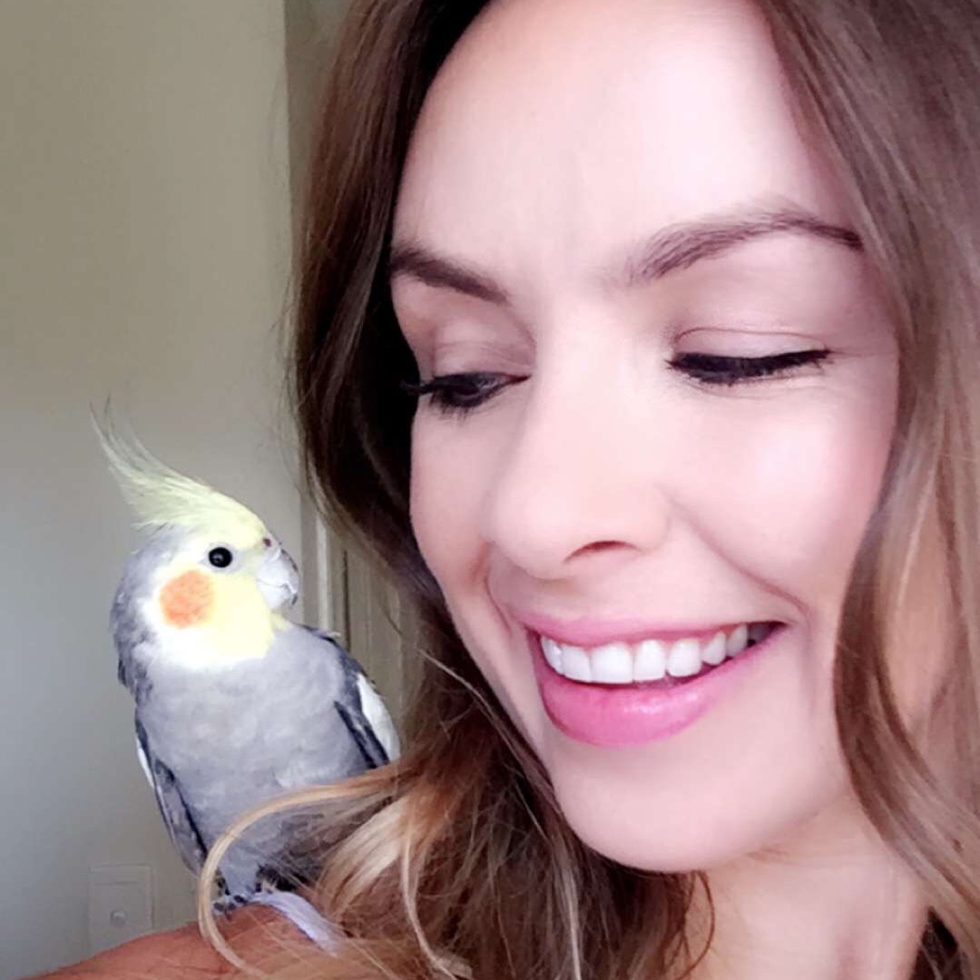 Kenickie-bird - a weiro cockatiel lost in Perth - Perth Blogger Katie Rebekah