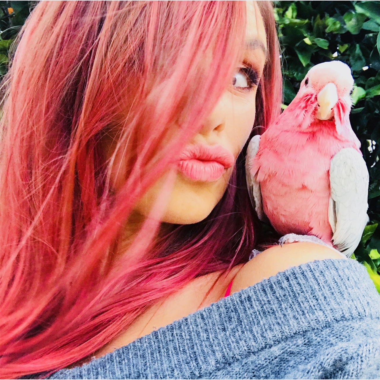 Birthday Birdie Thor – Pink Grey Galah Cockatoo – Maurice Meade – Perth Blogger Katie Rebekah