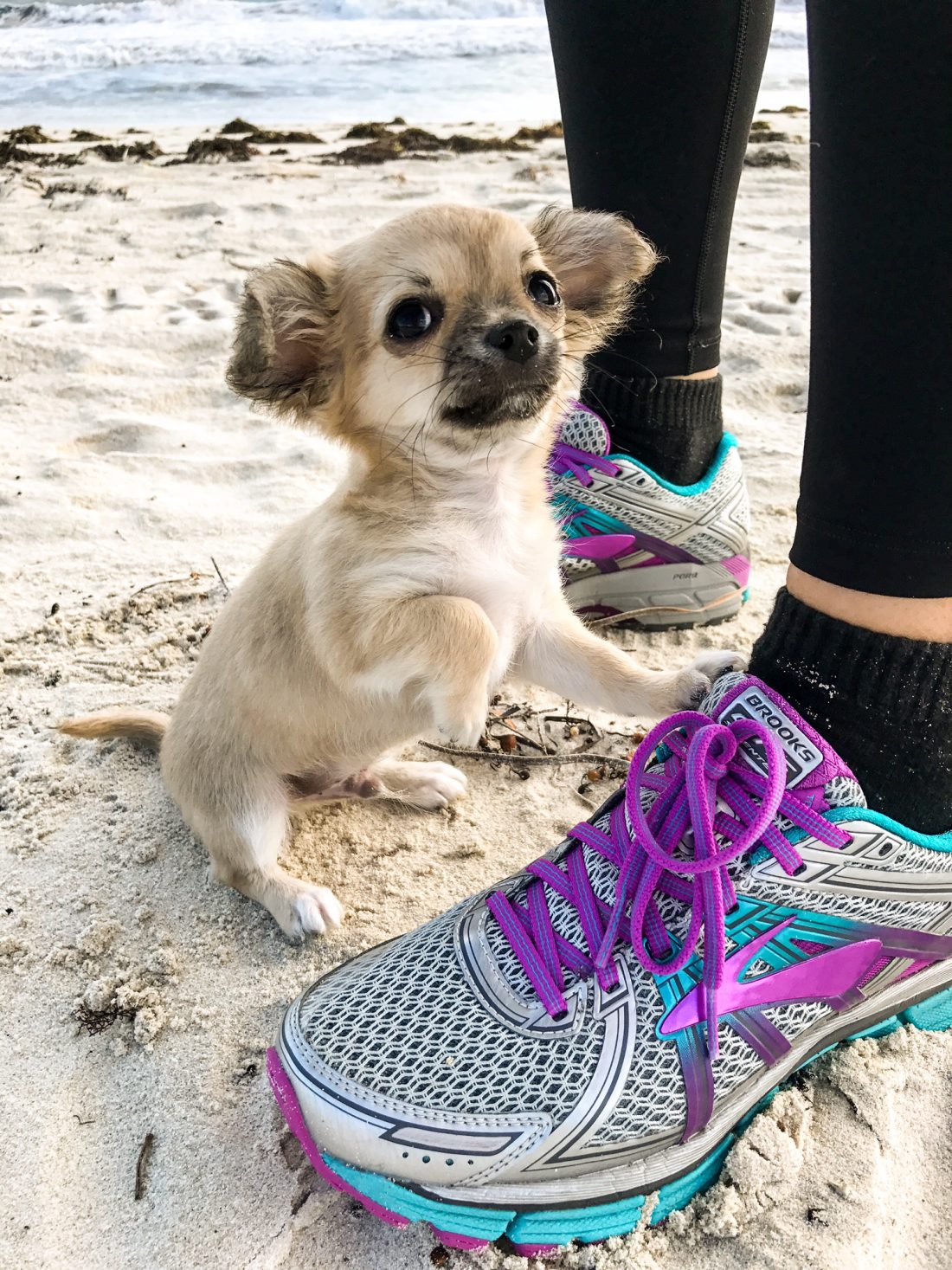 Okay, so I've been a little slack on the blogging front lately... Life has, as it so often does, taken over - and it's been hard to catch my breath, let alone sit down and write about what has been happening.</P>
<P>...and so much has been happening! So I thought I'd pop it all into one, beautifully rambling, utterly unplanned blog post to bring you all up to speed! Enjoy x