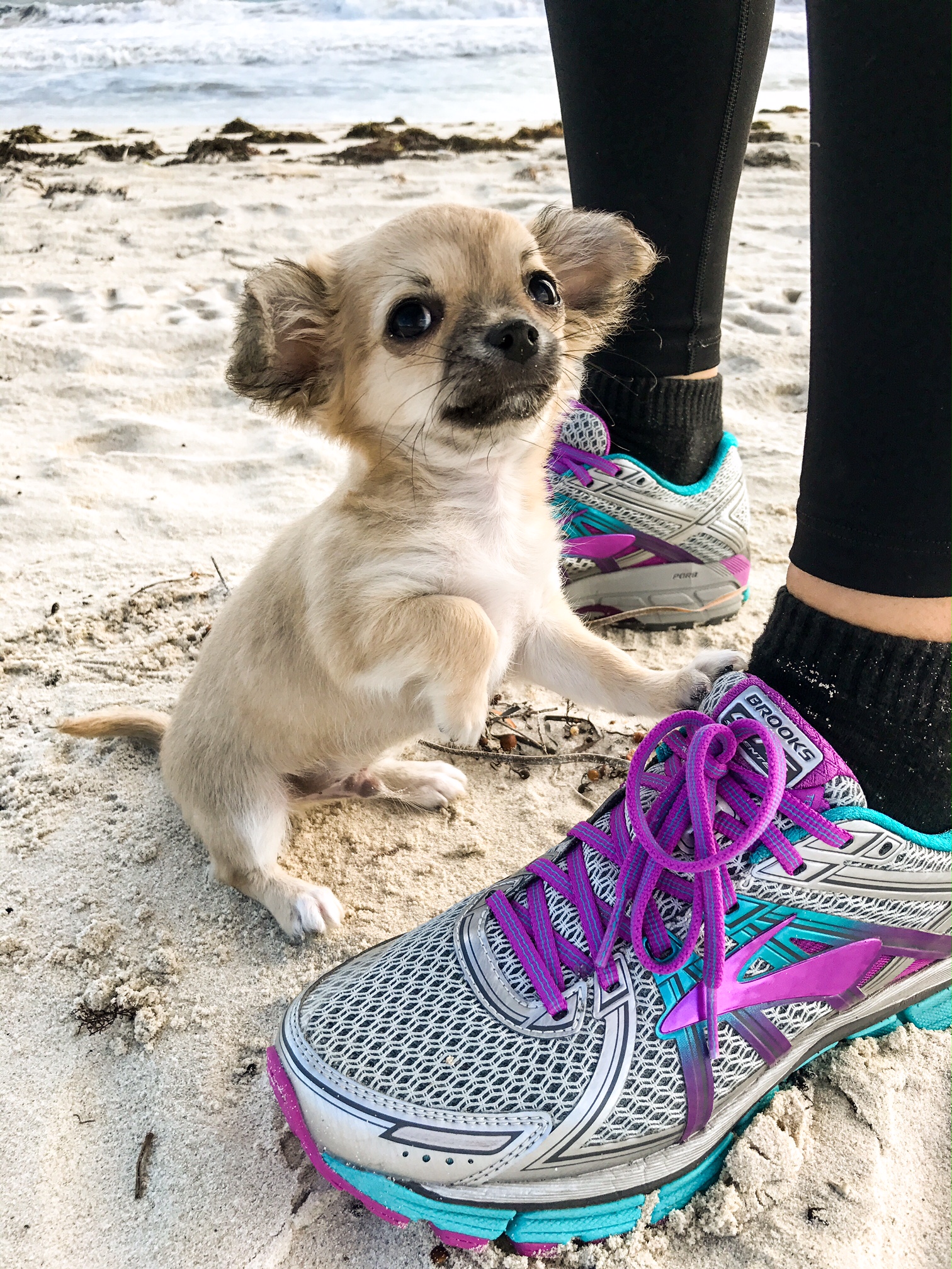 Okay, so I've been a little slack on the blogging front lately... Life has, as it so often does, taken over - and it's been hard to catch my breath, let alone sit down and write about what has been happening.</P>
<P>...and so much has been happening! So I thought I'd pop it all into one, beautifully rambling, utterly unplanned blog post to bring you all up to speed! Enjoy x